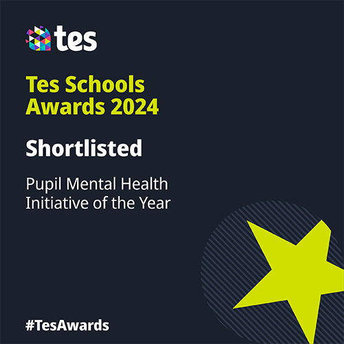 TES School awards logo 2024 shortlisted